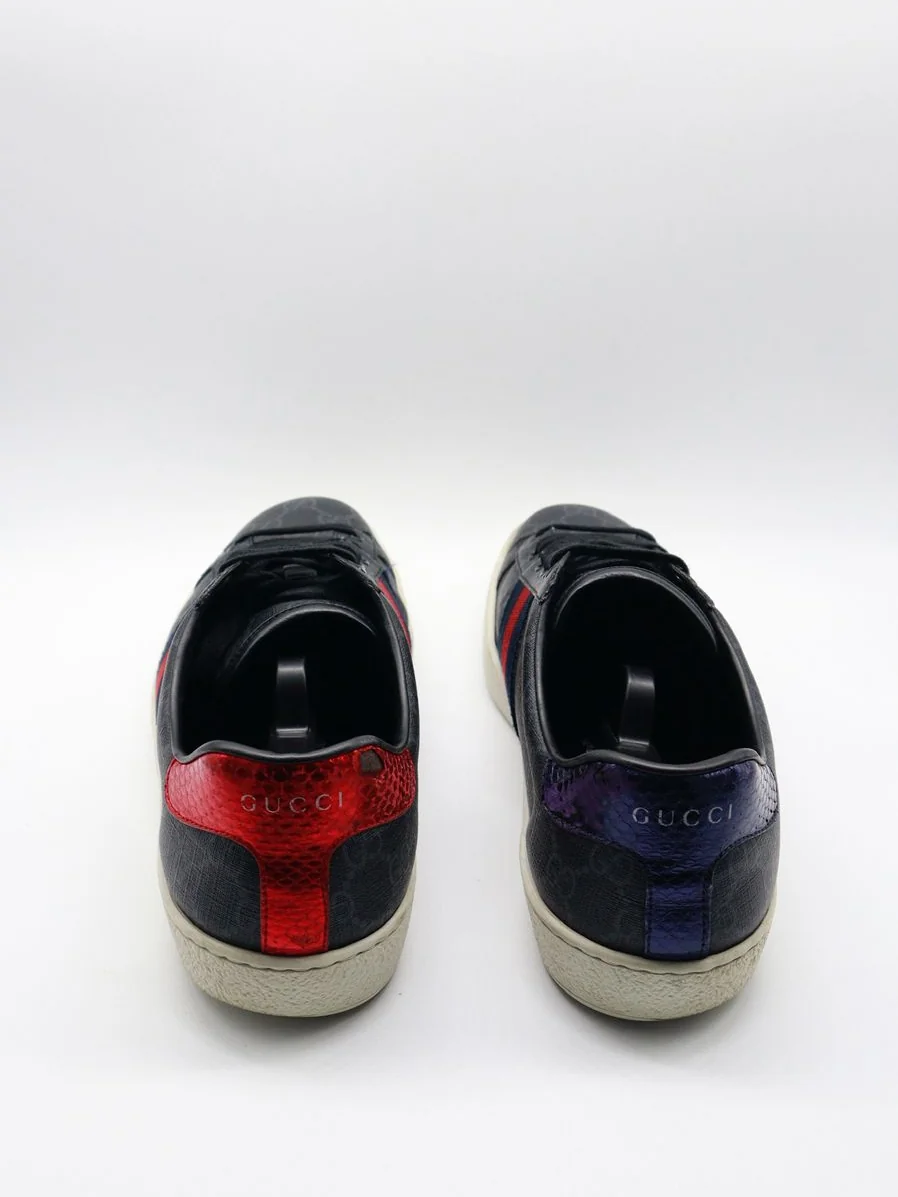 Gucci Ace Supreme  - Imagen 2