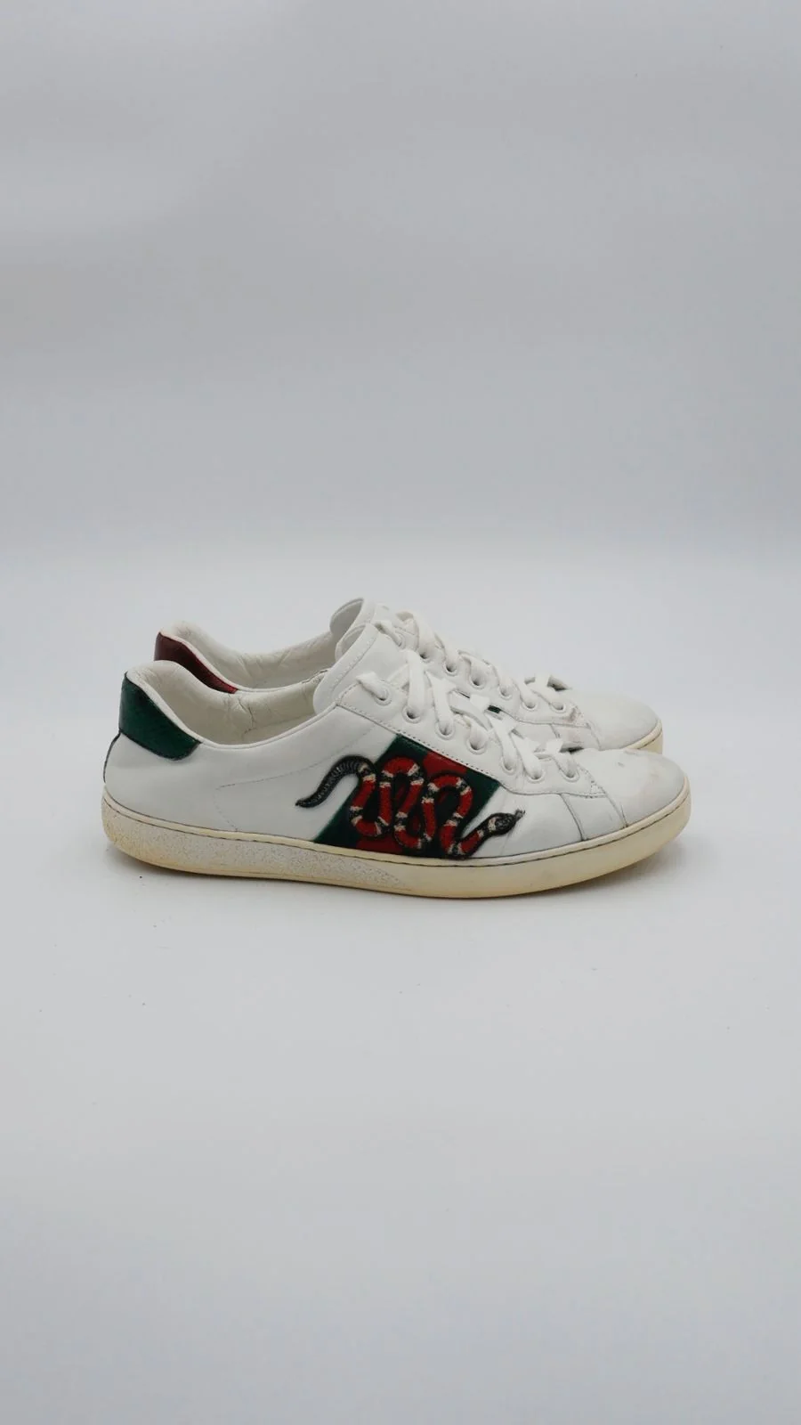 Gucci Ace Snake 