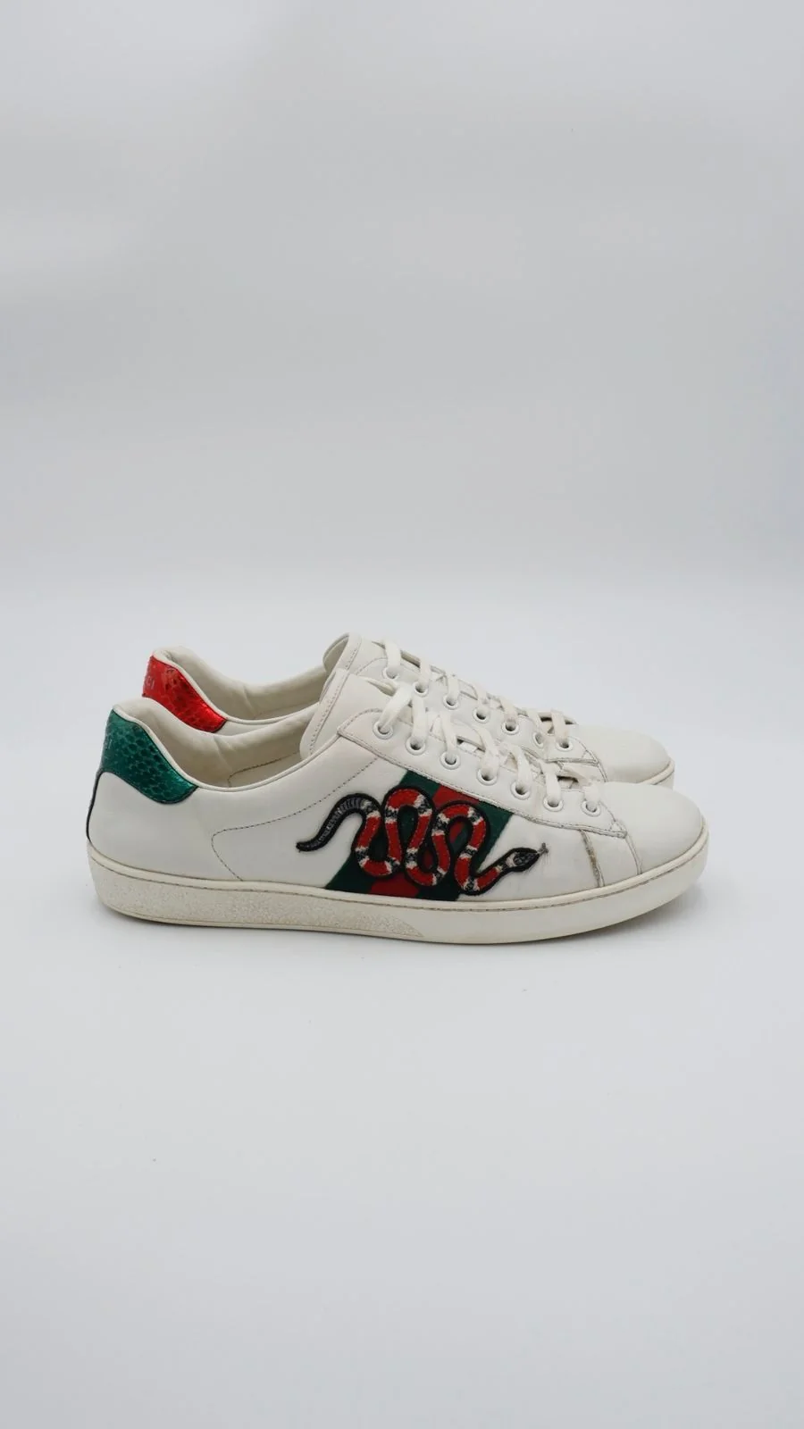 Gucci Ace Snake 