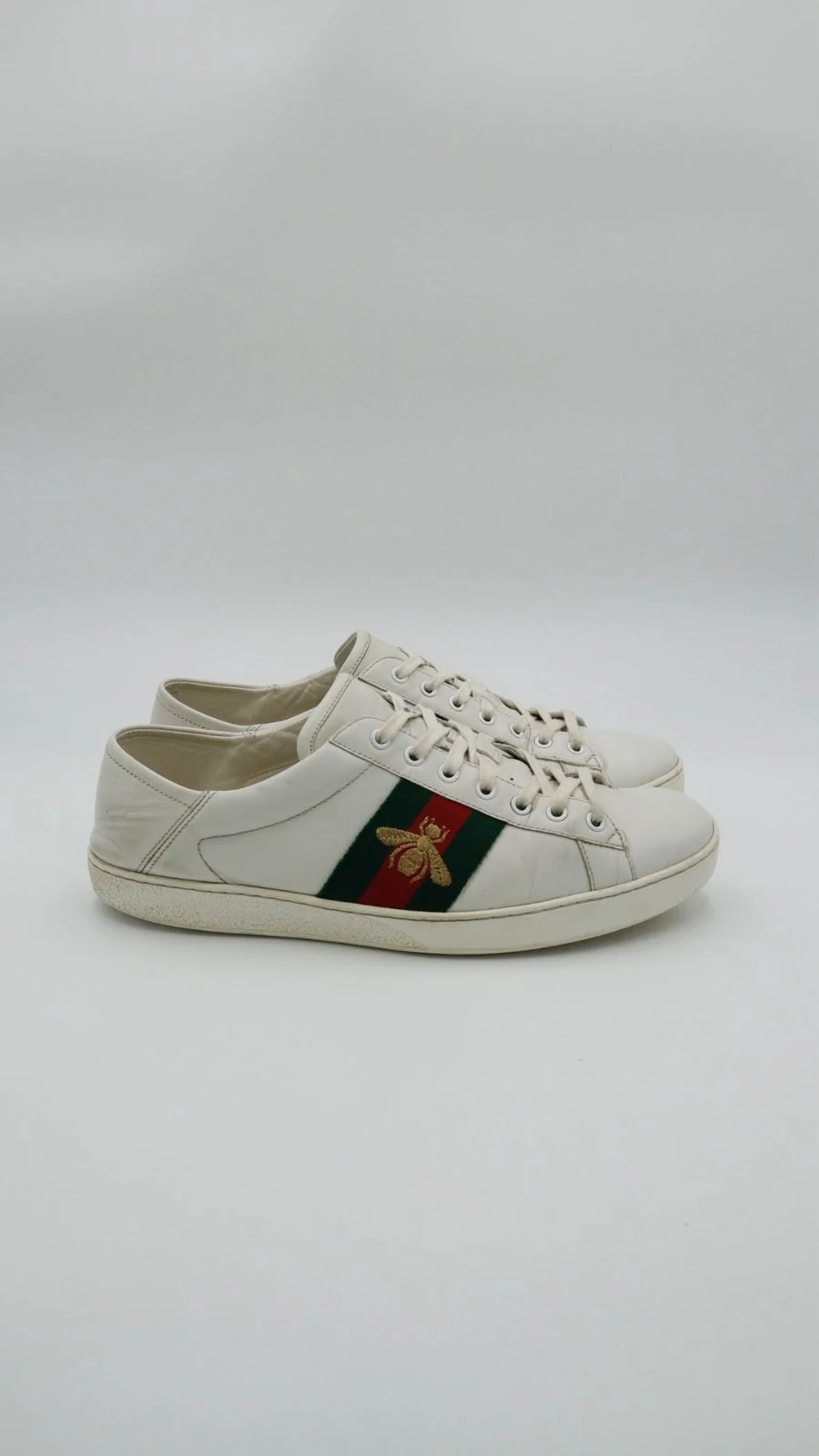 Gucci Ace Clásico 