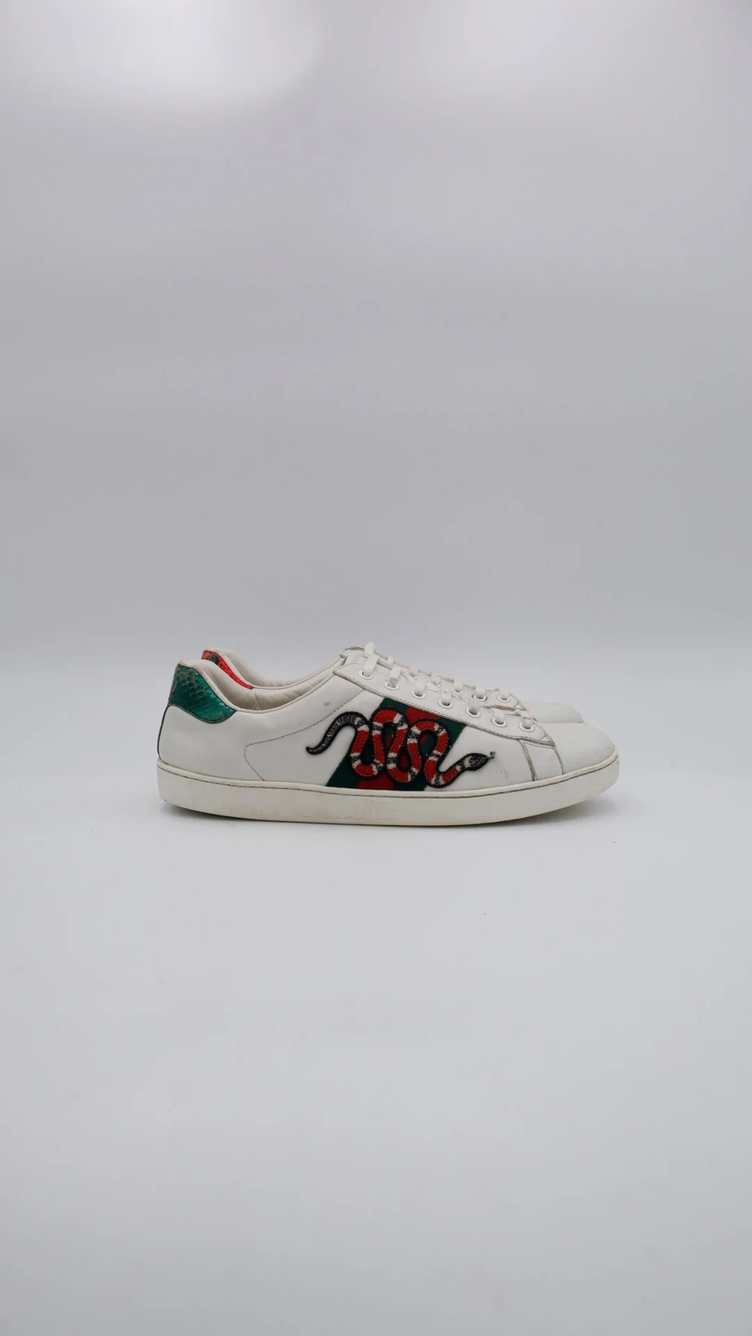 Gucci Ace Snake 