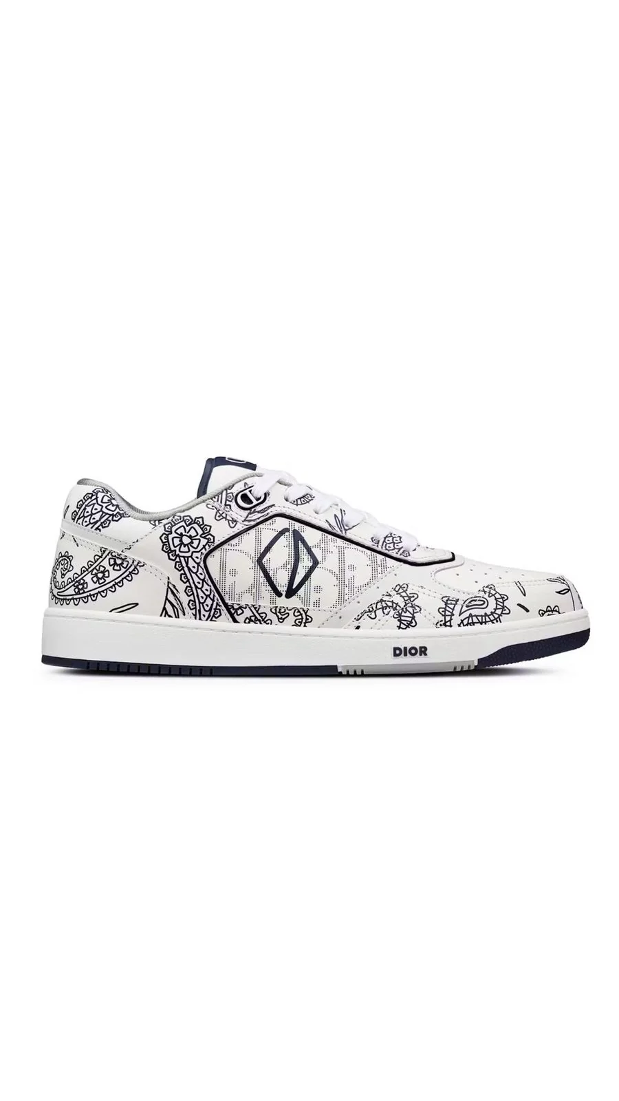 Dior B27 Low