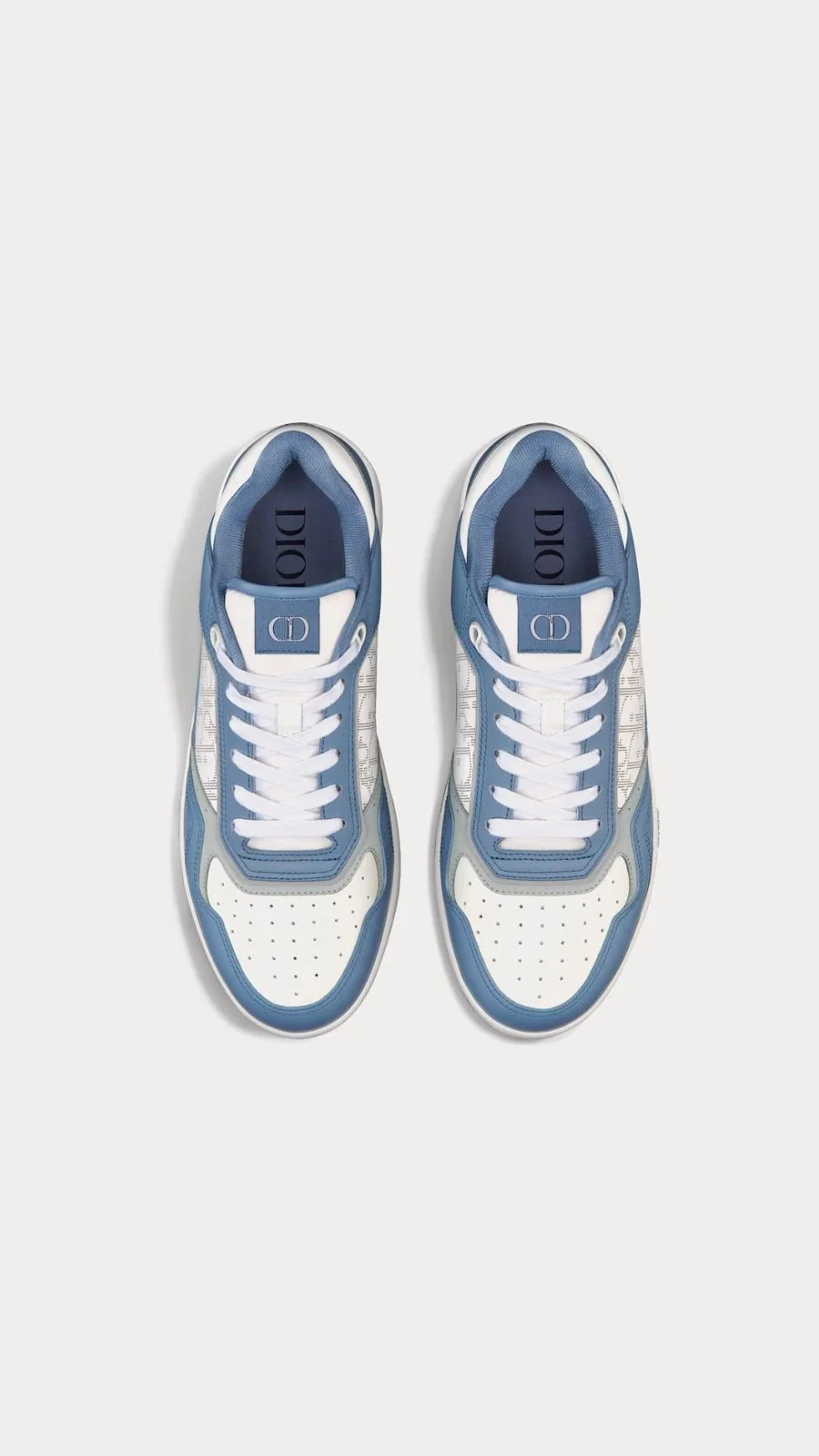 Dior B27 Low 2