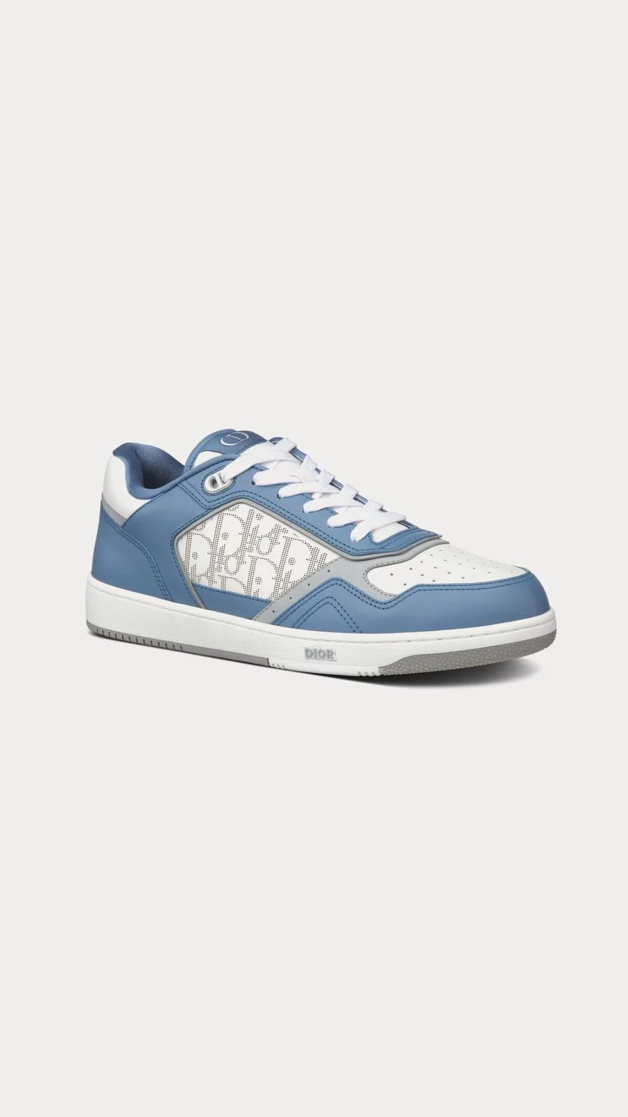 Dior B27 Low 3