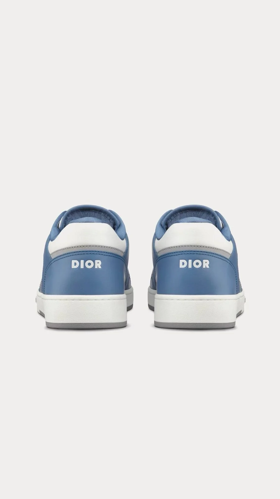 Dior B27 Low 4