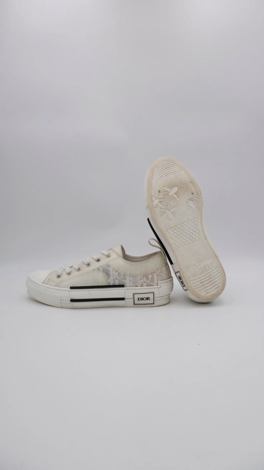 Dior B23 Low 6