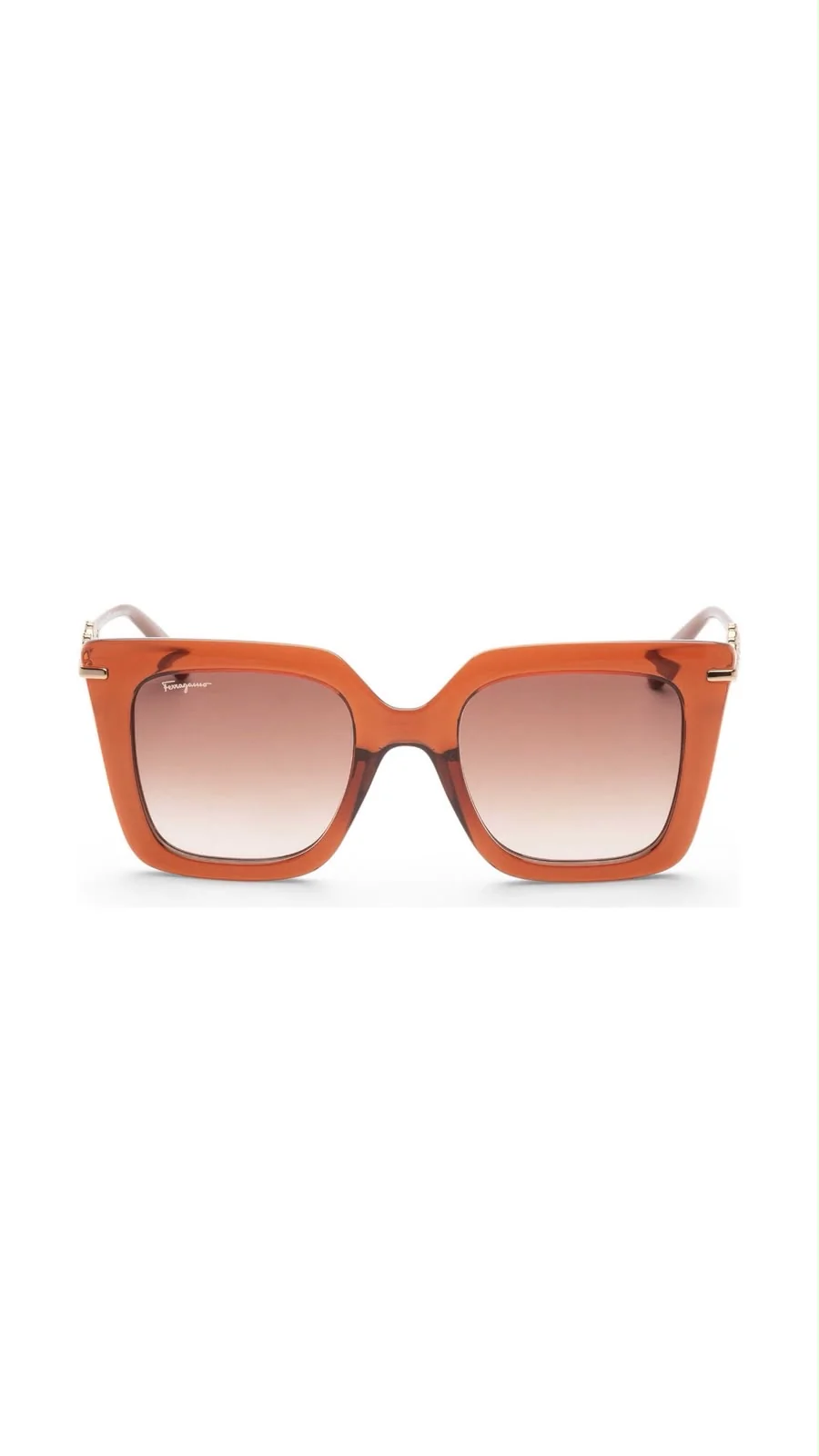 Lentes Ferragamo SF1041S-232-51
