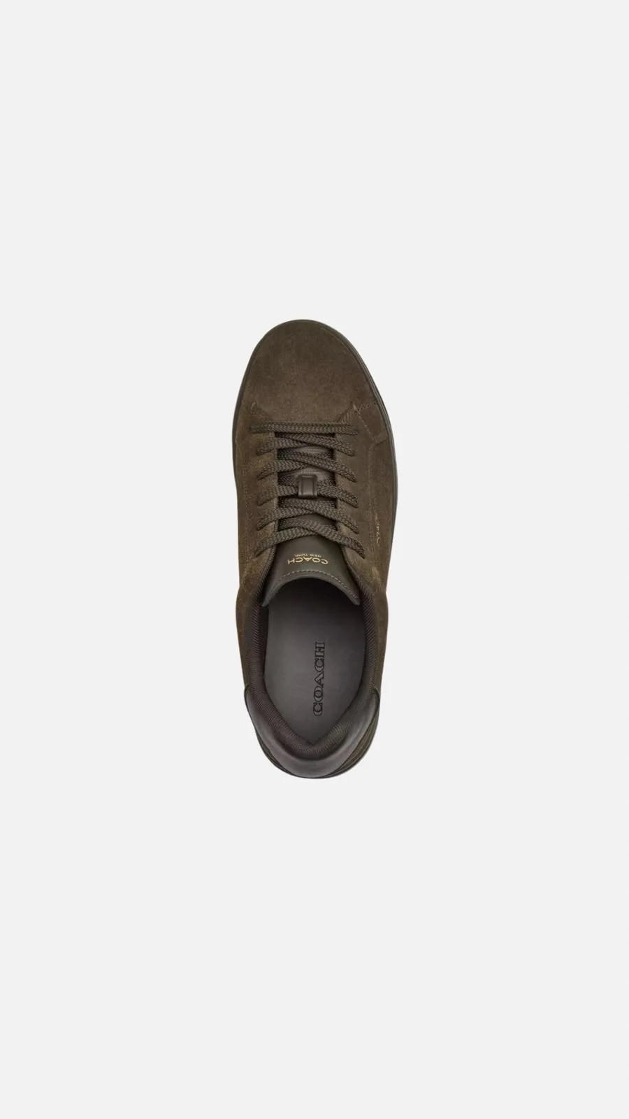 Coach Low 3