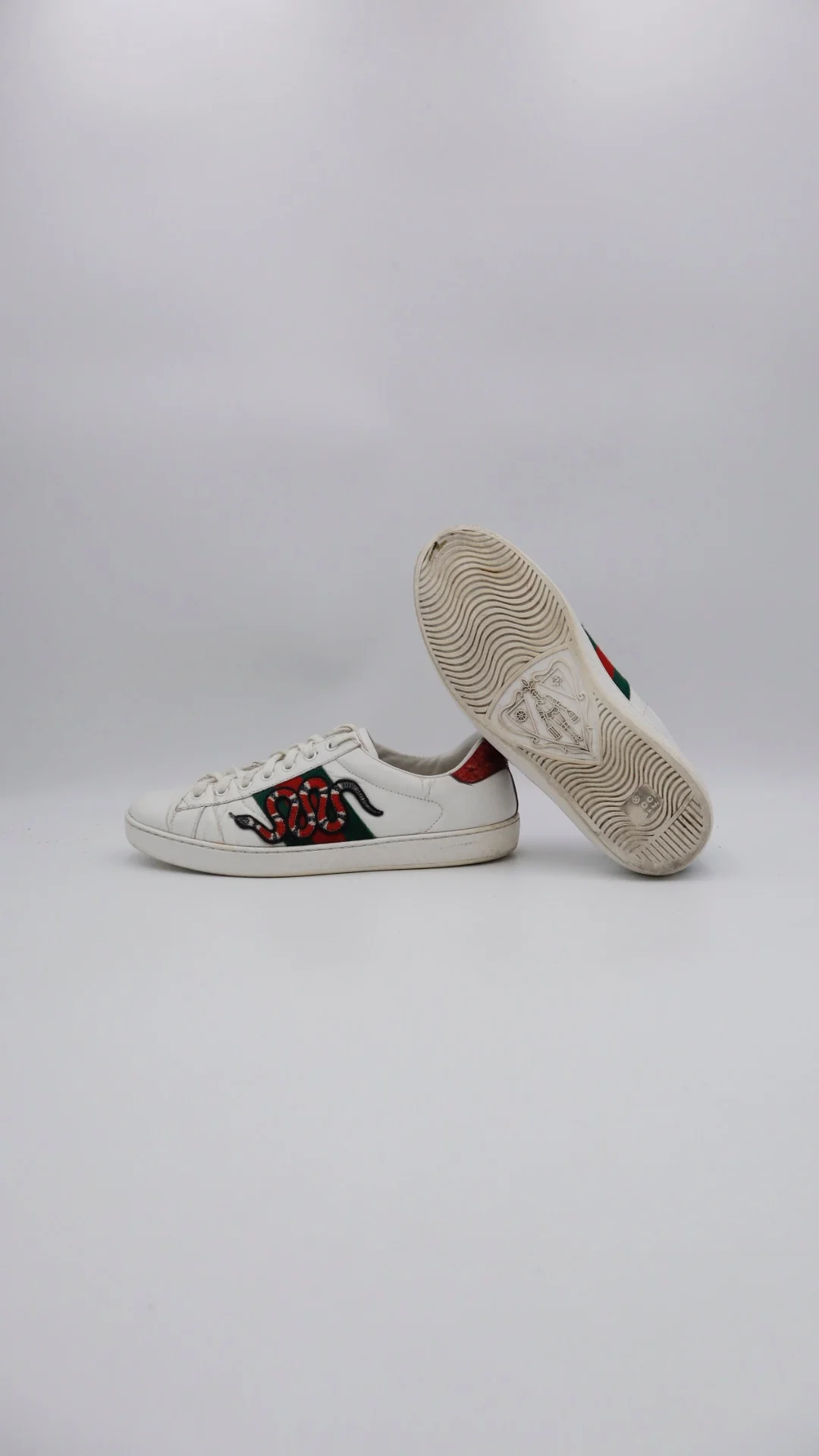 Gucci Ace Snake 5