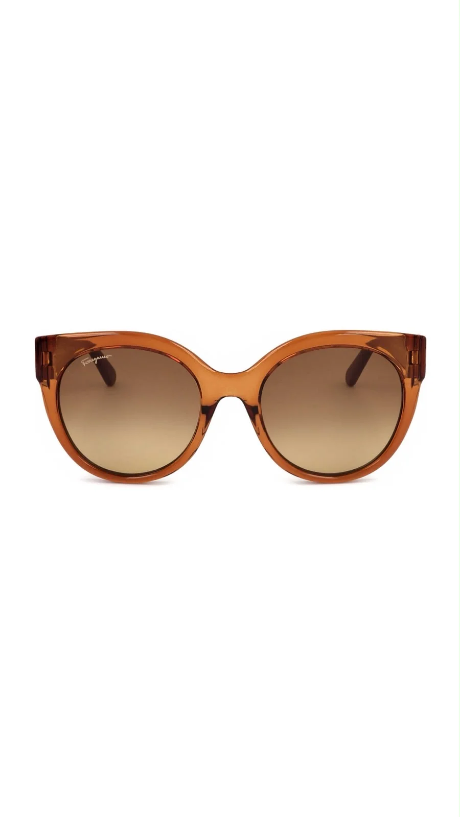Lentes Ferragamo SF1031S-261