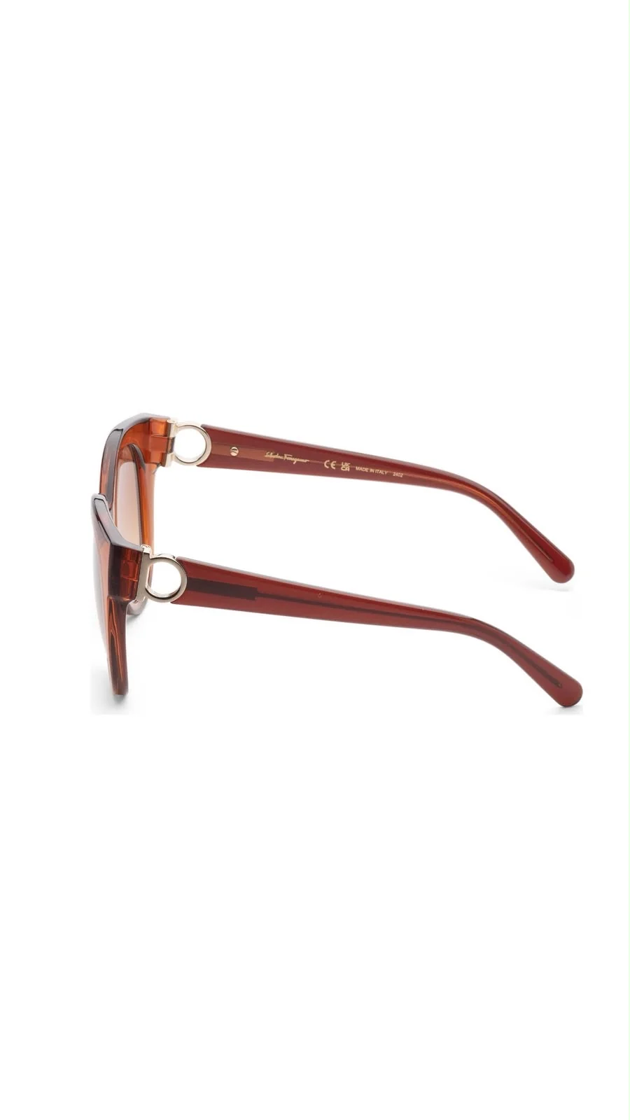 Lentes Ferragamo SF1031S-261 3